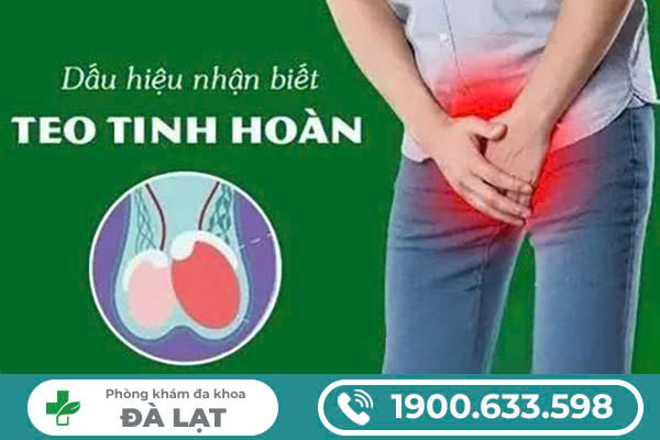 Hình ảnh minh họa